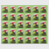Parrot Gift Wrap Cadeaupapier (Vlak)
