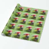 Parrot Gift Wrap Cadeaupapier (Uitgerold)