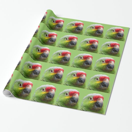 Parrot Gift Wrap Cadeaupapier (Uitgerold)