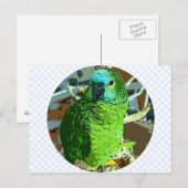 Parrot Green Briefkaart (Voorkant / Achterkant)
