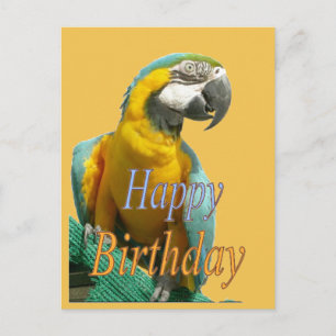 Parrot Happy Birthday  Briefkaart