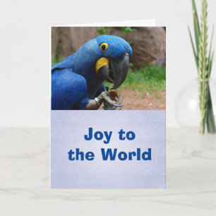 Parrot Happy Holiday Kaart, enveloppen inbegrepen Feestdagen Kaart