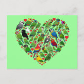 Parrot Heart Briefkaart (Voorkant)