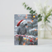 Parrot Holiday Card — Winter Wonder  Briefkaart (Staand voorkant)