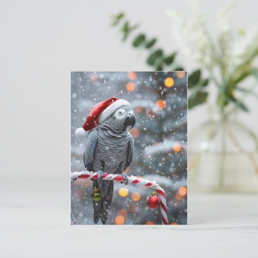 Parrot Holiday Card — Winter Wonder Briefkaart (Staand voorkant)