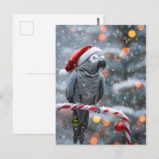 Parrot Holiday Card — Winter Wonder  Briefkaart (Voorkant / Achterkant)