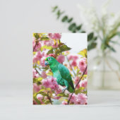 Parrot in Cherry Blossom Briefkaart (Staand voorkant)