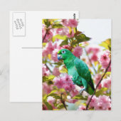 Parrot in Cherry Blossom Briefkaart (Voorkant / Achterkant)