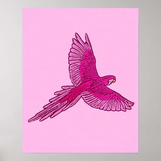 Parrot in de vlucht, Fuchsia en Ice Pink Poster (Voorkant)