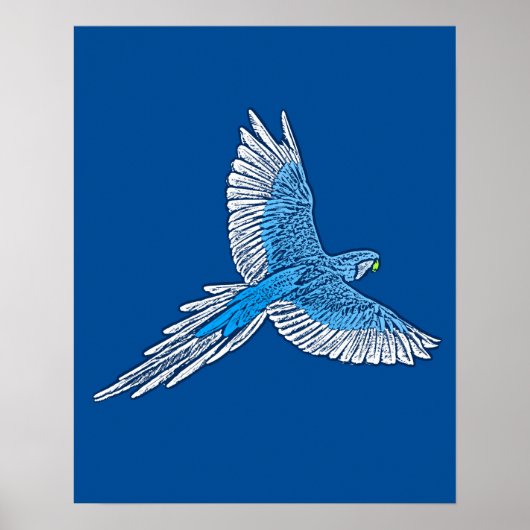 Parrot in de vlucht, kobalt Blue en White Poster (Voorkant)
