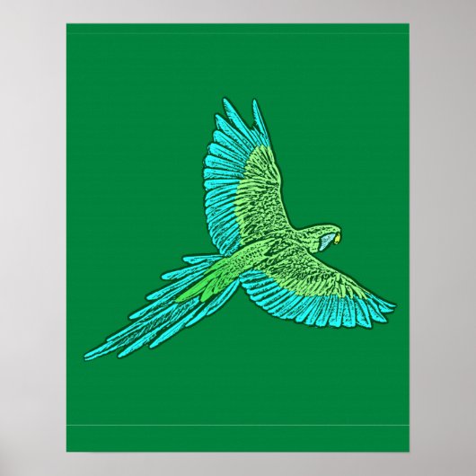 Parrot in Flight, Jade Green en Turquoise Poster (Voorkant)
