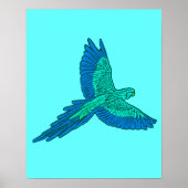 Parrot in vlucht, Aqua en Cobalt Blue Poster (Voorkant)