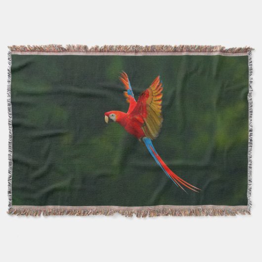 Parrot in vlucht deken (Voorkant)