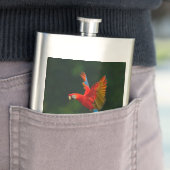 Parrot in vlucht flacon (Voorbeeld)