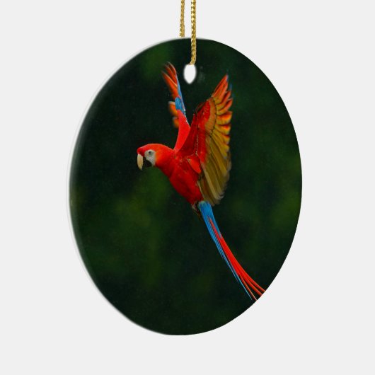 Parrot in vlucht keramisch ornament (Rechts)