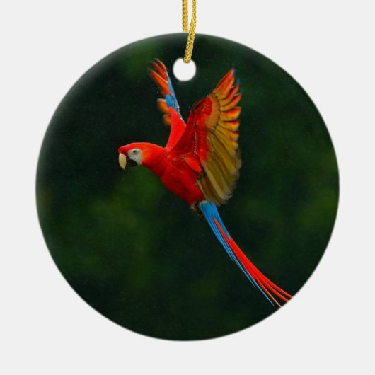 Parrot in vlucht keramisch ornament (Voorkant)