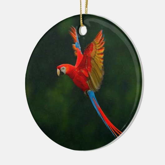 Parrot in vlucht keramisch ornament (Links)