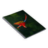 Parrot in vlucht notitieboek (Rechterzijde)