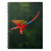 Parrot in vlucht notitieboek (Voorkant)