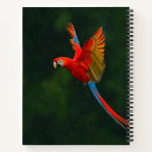Parrot in vlucht notitieboek (Achterkant)