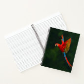 Parrot in vlucht notitieboek (Binnen)