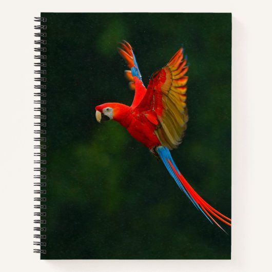 Parrot in vlucht notitieboek (Voorkant)