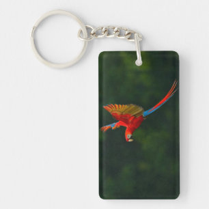 Parrot in vlucht sleutelhanger