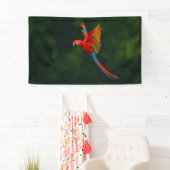 Parrot in vlucht spandoek (Insitu)
