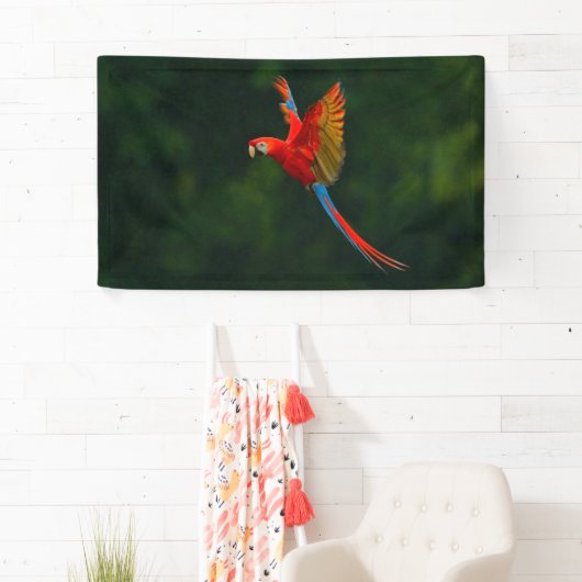 Parrot in vlucht spandoek (Insitu)