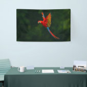 Parrot in vlucht spandoek (Beurs)
