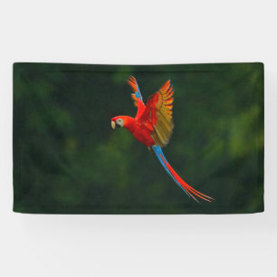 Parrot in vlucht spandoek