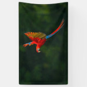 Parrot in vlucht spandoek (Verticaal)