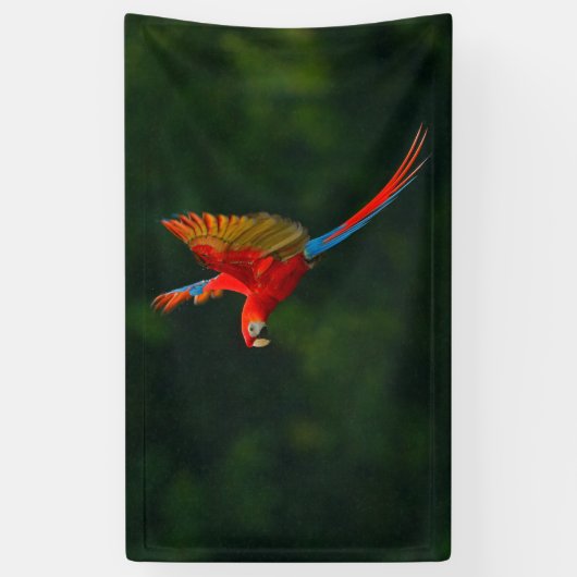 Parrot in vlucht spandoek (Verticaal)