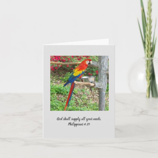 Parrot Inspirerend Note Kaart (Voorkant)