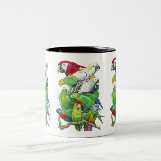 Parrot Jam Mok (Center)