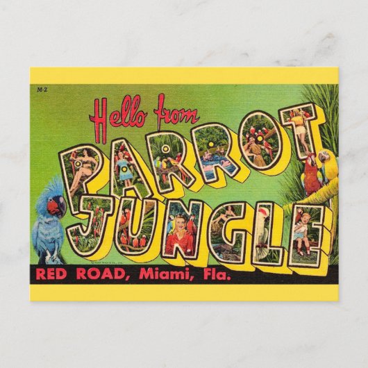 Parrot Jungle Miami Vintage Postcard Briefkaart (Voorkant)
