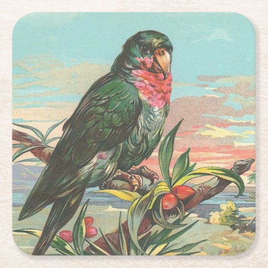 Parrot Kartonnen Onderzetters (Voorkant)