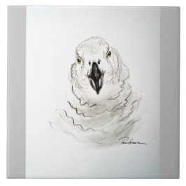 Parrot kijkt naar jou. . . tegeltje