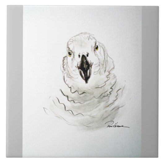 Parrot kijkt naar jou. . . tegeltje (Voorkant)