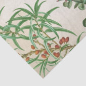 Parrot  kunst tissuepapier (Detail)