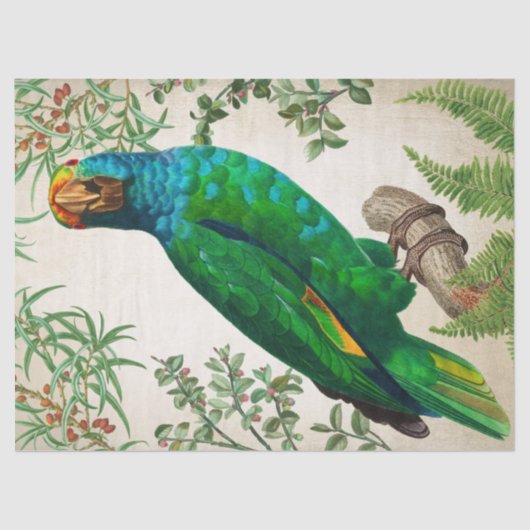 Parrot  kunst tissuepapier (Voorkant)