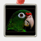 Parrot/La Cotorra Metalen Ornament (Voorkant)
