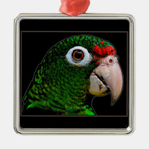 Parrot/La Cotorra Metalen Ornament