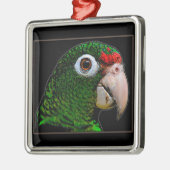 Parrot/La Cotorra Metalen Ornament (Links)