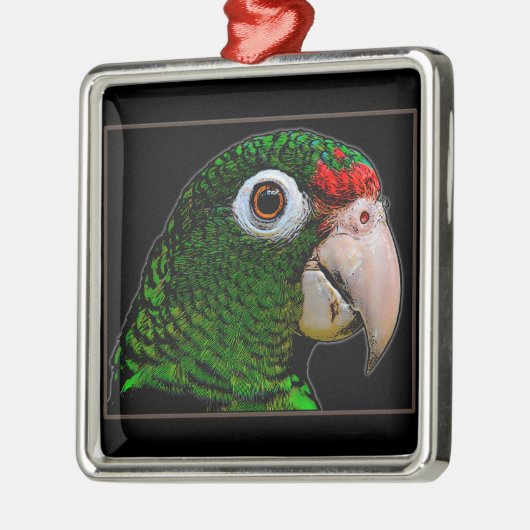 Parrot/La Cotorra Metalen Ornament (Links)