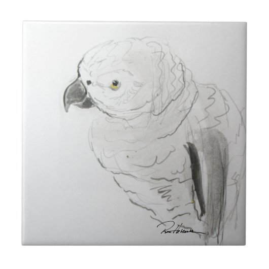 Parrot Listening nauwgezet . . . Tegeltje (Voorkant)