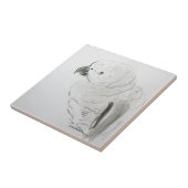 Parrot Listening nauwgezet . . . Tegeltje (Zijkant)