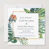 Parrot Lovebird Tropische Natuur Save the Date (Voorkant)
