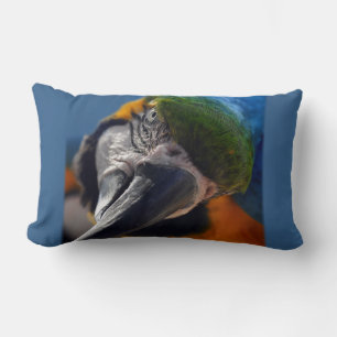 Parrot Macaw Bird Decorative Sierkussen Kussen