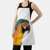 Parrot macaw schort (Insitu)